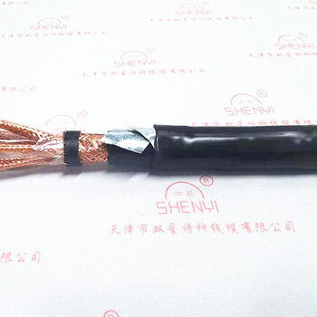 專業(yè)解析 計(jì)算機(jī)控制線纜DJVPVDJYPVDJYJPV系列及其天津生產(chǎn)制造批發(fā)產(chǎn)業(yè)